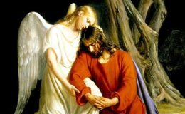 Offering of the Bitterness of Our Lord’s&nbsp;Passion
